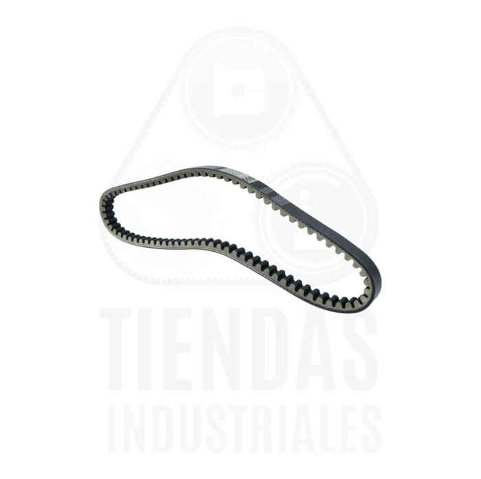 IMG_1768 CORREA SCOOTER PL 20302 - Imagen 3